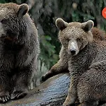 With Mountain View, Sleeps 8 Apartment *