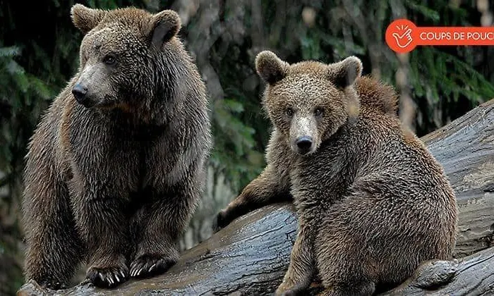 With Mountain View, Sleeps 8 Apartment *